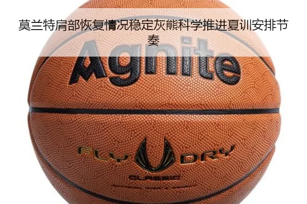 img_1783870343134_2236_1_858.jpg